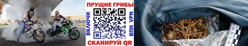 Псилоцибиновые грибы мухоморы  Межгорье 